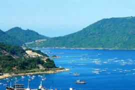 Đại gia đổ 2,5 tỷ đô xây gì ở Vũng Rô?