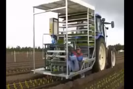 Cận cảnh công nghệ trồng rau bằng máy nhanh ngỡ ngàng