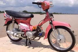 Ngắm dàn Honda Dream, Wave độ đậm nữ tính