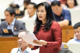 Có thể phong tặng Nghệ sĩ nhân dân, Nghệ sĩ ưu tú cho nhà văn, kiến trúc sư