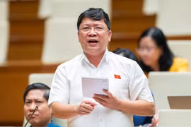 ĐB Quốc hội: Có cuộc thanh tra từ năm 2016, đến nay chưa kết luận