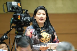 Dân không thể mua bán đất từ khi điện hạt nhân Ninh Thuận tạm dừng