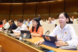 Quốc hội nhất trí thành lập Thanh tra Tổng cục, Thanh tra sở