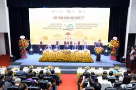 Nghiên cứu, phục dựng công trình kiến trúc của di sản Hoàng thành Thăng Long