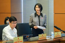 Đại biểu QH chỉ lý do quá tải tuyến bệnh viện trung ương