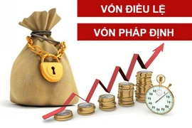 Tăng vốn doanh nghiệp trước, sau lên sàn: Kiểm soát bằng chế tài nào?