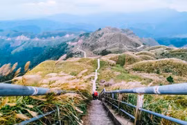 Bình Liêu: Mùa cỏ lau trắng núi đồi