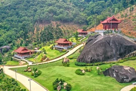 Xem xét khởi động lại dự án Đại Tùng Lâm Hoa Sen?