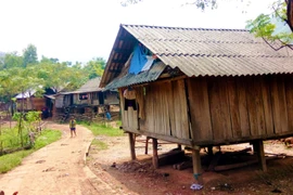 Khoảng 20 người Mày bỏ bản vào rừng trốn dịch sau khi xem cảnh chết chóc trên tivi