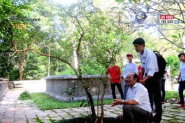 Khám phá 3 cây lạ thần kỳ ở khu di tích Lam Kinh