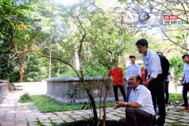 Khám phá 3 cây lạ thần kỳ ở khu di tích Lam Kinh