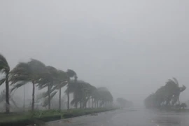 Bão số 11 đang suy yếu thành áp thấp nhiệt đới