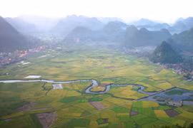 Thung lũng Bắc Sơn đẹp nao lòng mùa lúa chín vàng