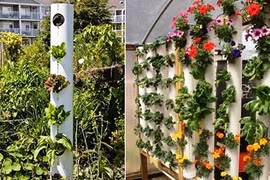 Mê mẩn ngắm những mẫu vườn đứng tuyệt đẹp cho nhà phố