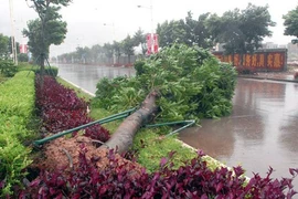 Siêu bão Haiyan tấn công miền Trung, đe dọa miền Bắc