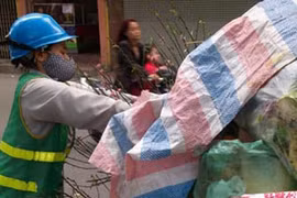 Sau Tết, bánh chưng, thịt gà nguyên con vứt đầy thùng rác