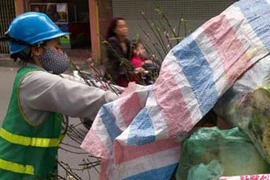 Sau Tết, bánh chưng, thịt gà nguyên con vứt đầy thùng rác