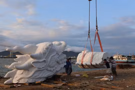 Cảnh lắp ghép “cá chép hóa rồng” cực độc ở Đà Nẵng