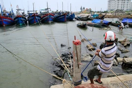 Khẩn trương ứng phó bão số 1 trên biển Đông