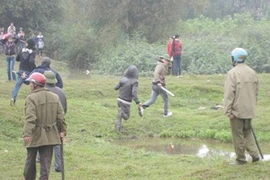 5 lễ hội Tết kỳ quặc nhất Việt Nam