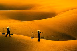 Ngắm những đồi cát mênh mông, hút hồn ở Việt Nam