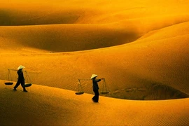 Ngắm những đồi cát mênh mông, hút hồn ở Việt Nam