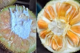 5 dấu hiệu chứng tỏ mít Thái già quả, ngọt thơm, không lo ngâm hóa chất