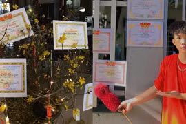 Không chỉ treo giấy khen lên cây cảnh, teen còn khoe thành tích