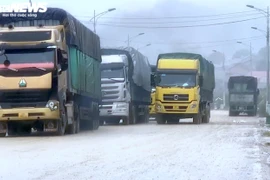 Lạng Sơn tạm dừng tiếp nhận, xe chở hoa quả tươi vẫn kéo đến cửa khẩu