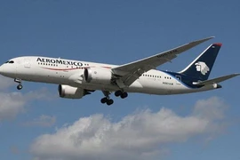 Khoang hành lý bốc cháy, Boeing 787 Dreamliner hạ cánh khẩn cấp