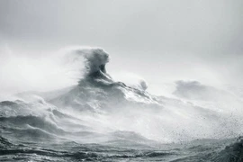 Những bức ảnh thiên nhiên đẹp nhất nước Anh năm 2016