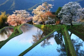 Những cảnh đẹp thiên nhiên rực rỡ sắc màu trên trái đất