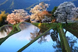 Những cảnh đẹp thiên nhiên rực rỡ sắc màu trên trái đất