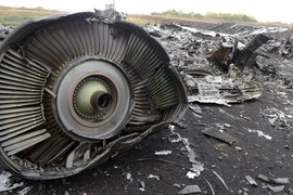 Nóng: Manh mối mới vụ MH17 từ 25 mảnh kim loại