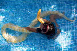 Hãi hùng cảnh trăn khổng lồ tắm cùng bé gái