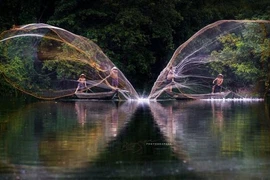 Ngắm ảnh Việt Nam đẹp mê hồn trên báo Anh