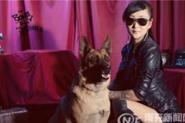 Gái xinh bị bạn trai bỏ vì... quý chó hơn người yêu