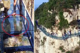Trung Quốc: Du khách kinh hoàng vì cầu kính bị nứt
