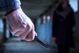 Pháp: Tấn công bằng dao, xiên thịt nướng... 10 người thương vong