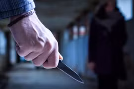 Pháp: Tấn công bằng dao, xiên thịt nướng... 10 người thương vong