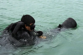 Xem lính đặc công nước Việt Nam khổ luyện