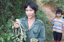 Bất ngờ “người rừng” Hồ Văn Lang thích có vợ