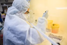 Giải trình tự gene của bệnh nhân COVID-19 ở Hải Dương, Quảng Ninh