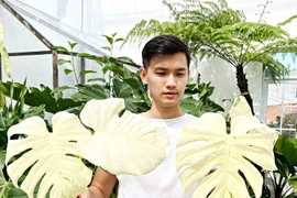 Thú chơi xa xỉ nhà giàu Việt: Chi trăm tỷ mua… 1 chiếc lá