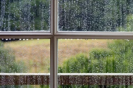 Nồm ẩm khiến nhà cửa chảy nước, làm cách này đảm bảo khô cong