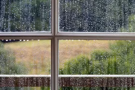 Nồm ẩm khiến nhà cửa chảy nước, làm cách này đảm bảo khô cong