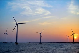 Choáng ngợp cột tháp khổng lồ trên cánh đồng điện gió Bạc Liêu