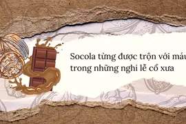 Sự thực hạt thông là thuốc tăng cường khả năng phòng the cổ xưa