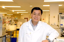 GS. Nguyễn Văn Tuấn: Từ phụ bếp đến… cha đẻ loạt công bố quốc tế