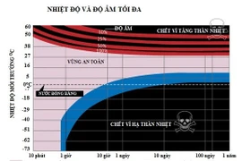 Nhiệt độ bao nhiêu con người có thể chết vì nắng nóng?